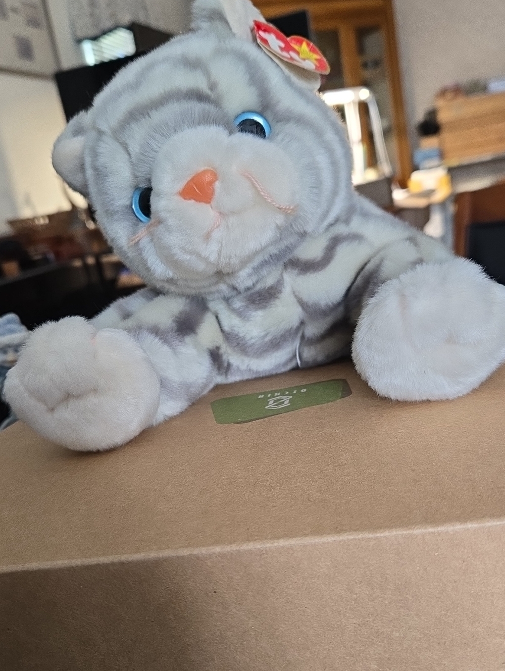 Ty Grey and White Named Silver.